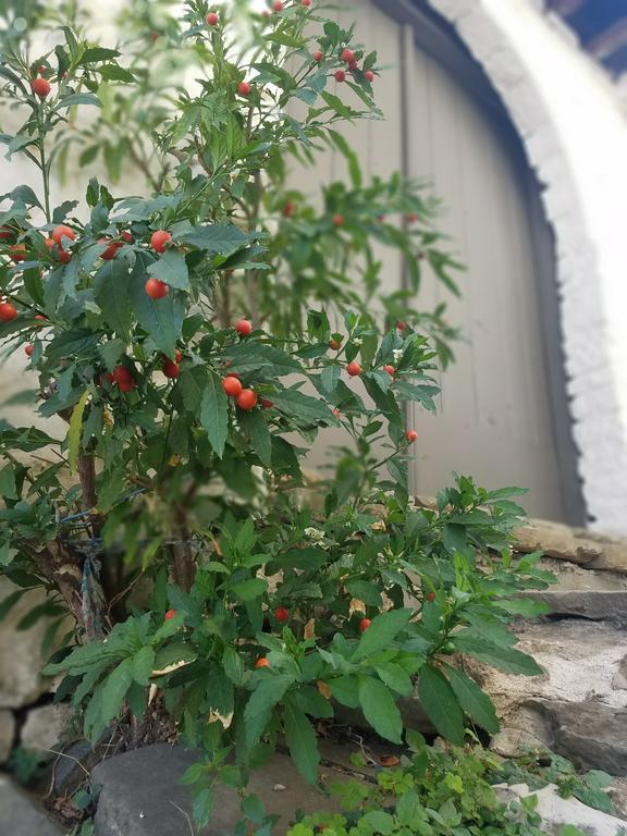 Lori'S Traditional House Gjirokastër Eksteriør bilde